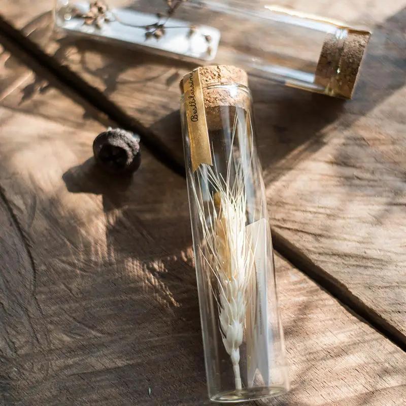 Natural Dried Flower in Glass Tube Randomly Picked Set of 5 by RusticReach
