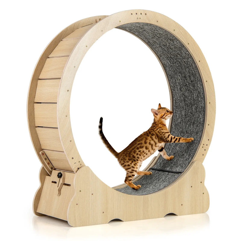 40 Inch Large Cat Exercise Wheel with Lockable Mechanism and Carpeted Runaway for Indoor Cats-Natural by DirectDeals