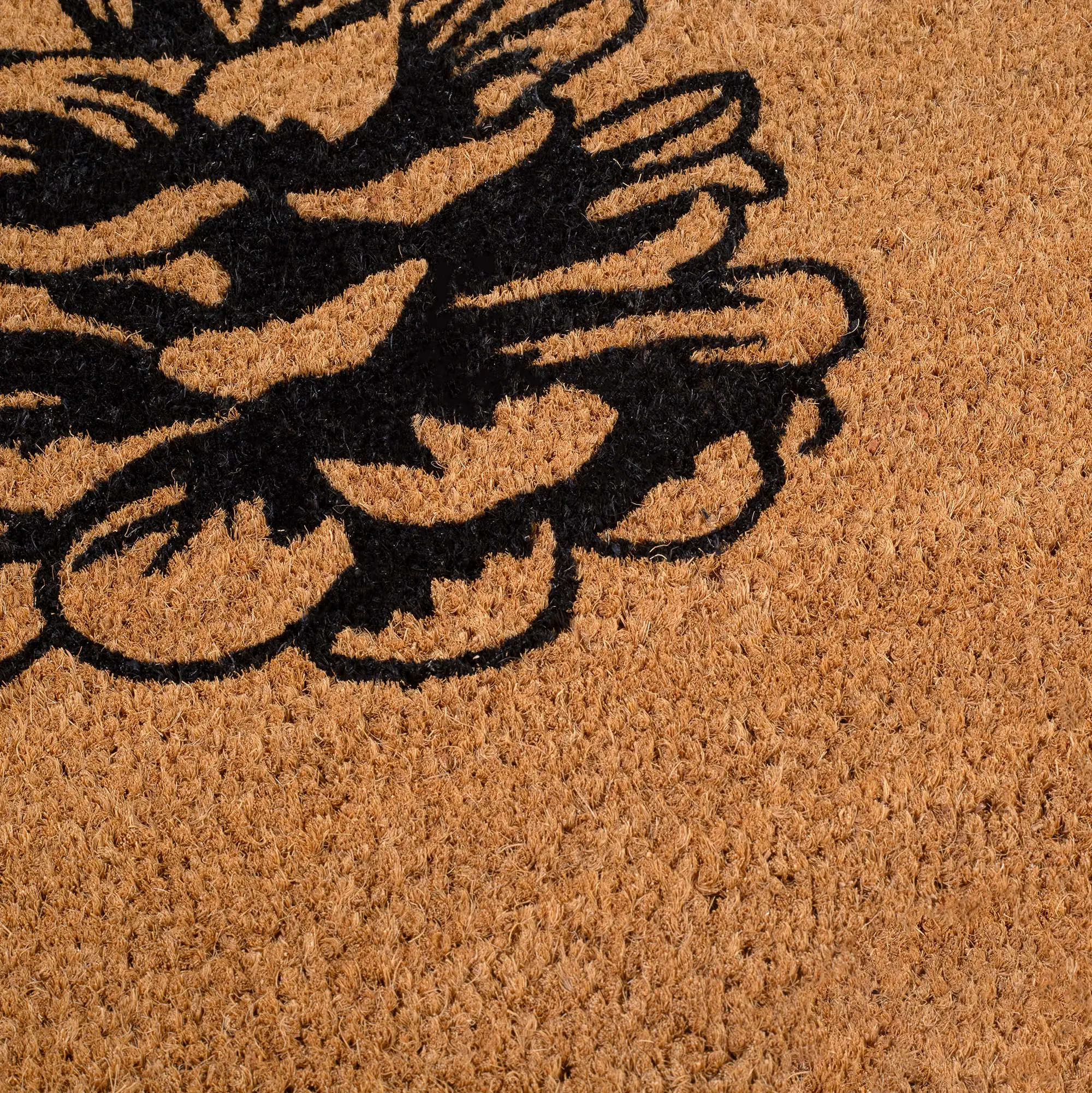 Nature Lover Pine Cone Coir Doormat by Fab Habitat