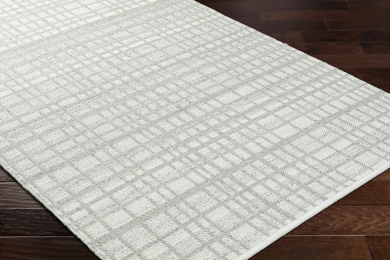 Nissa Light Gray Area Rug - Clearance by Boutique Rugs