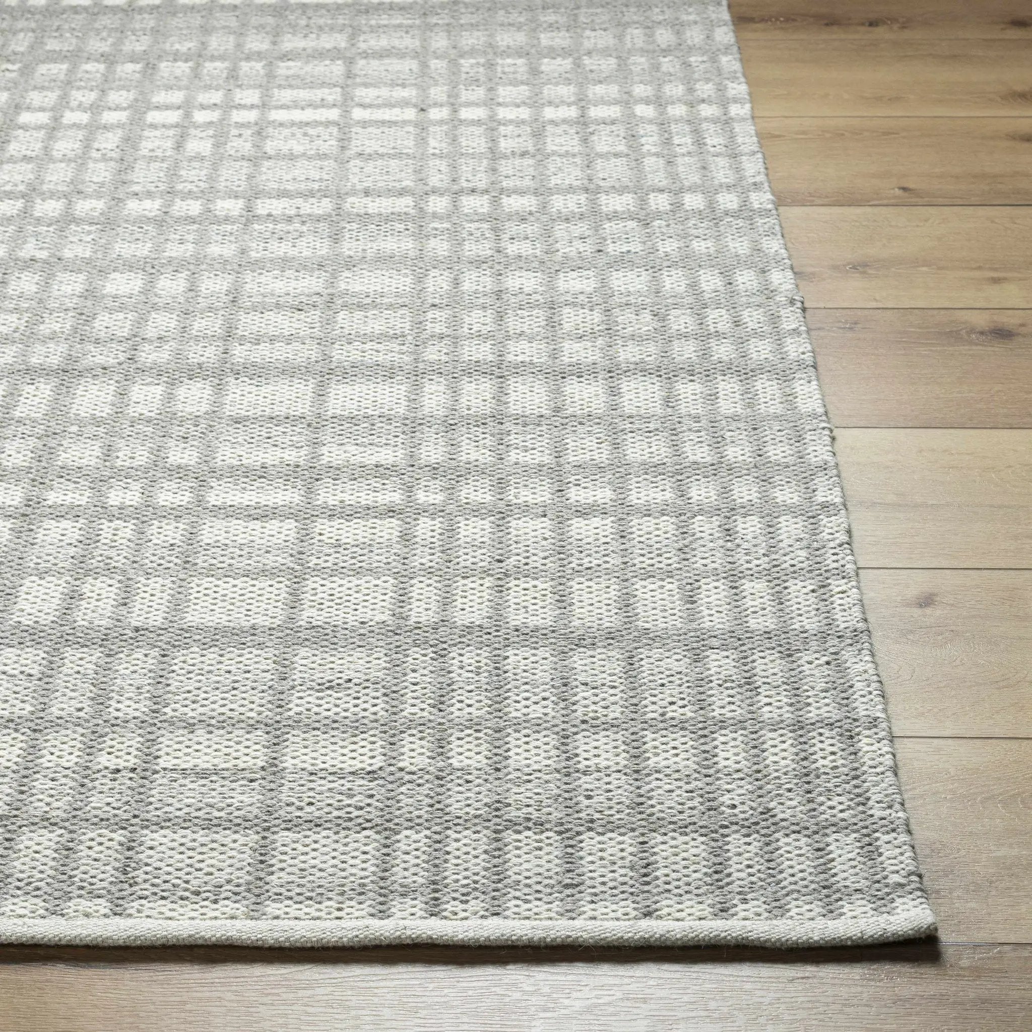 Nissa Light Gray Area Rug - Clearance by Boutique Rugs