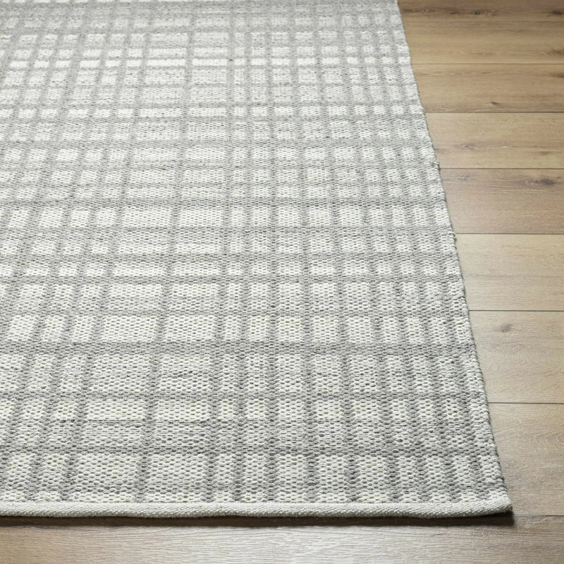 Nissa Light Gray Area Rug - Clearance by Boutique Rugs