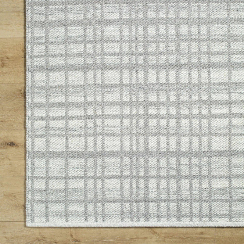 Nissa Light Gray Area Rug - Clearance by Boutique Rugs