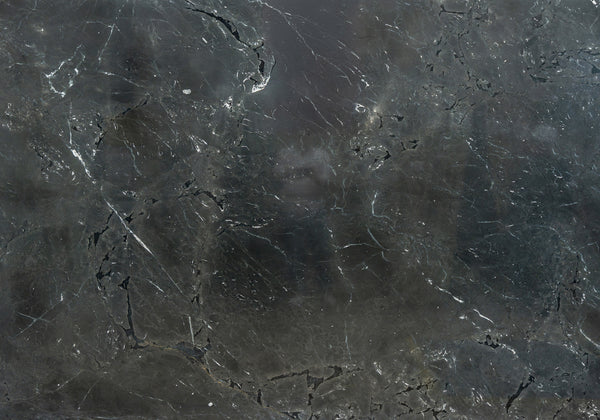 Negresco Polished Quartzite Slab Random