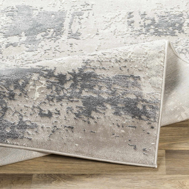 Neponsit Area Rug - Clearance by Boutique Rugs