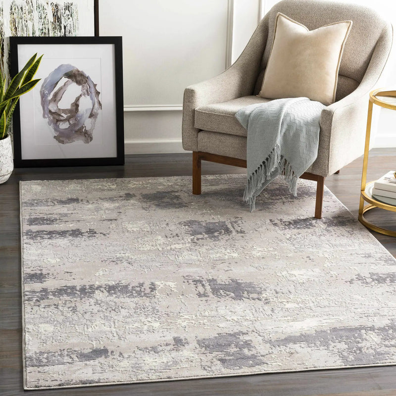 Neponsit Area Rug - Clearance by Boutique Rugs