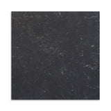Nero Marquina Premium Honed Marble Tiles 12x12