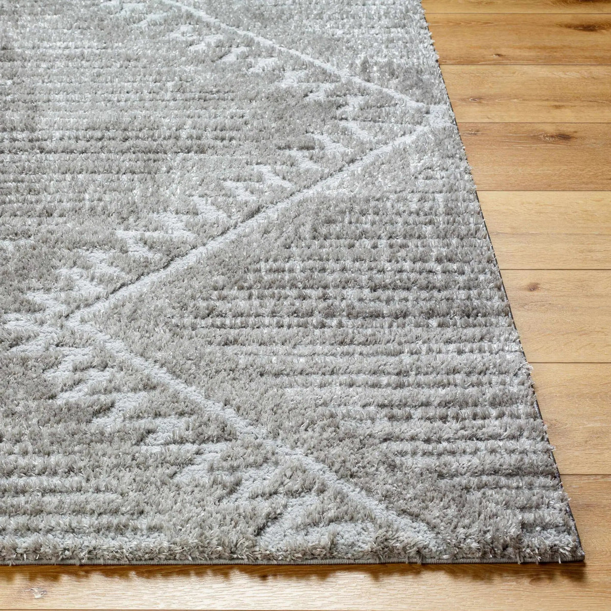 Edsel Gray Area Rug, photo 8 of 8