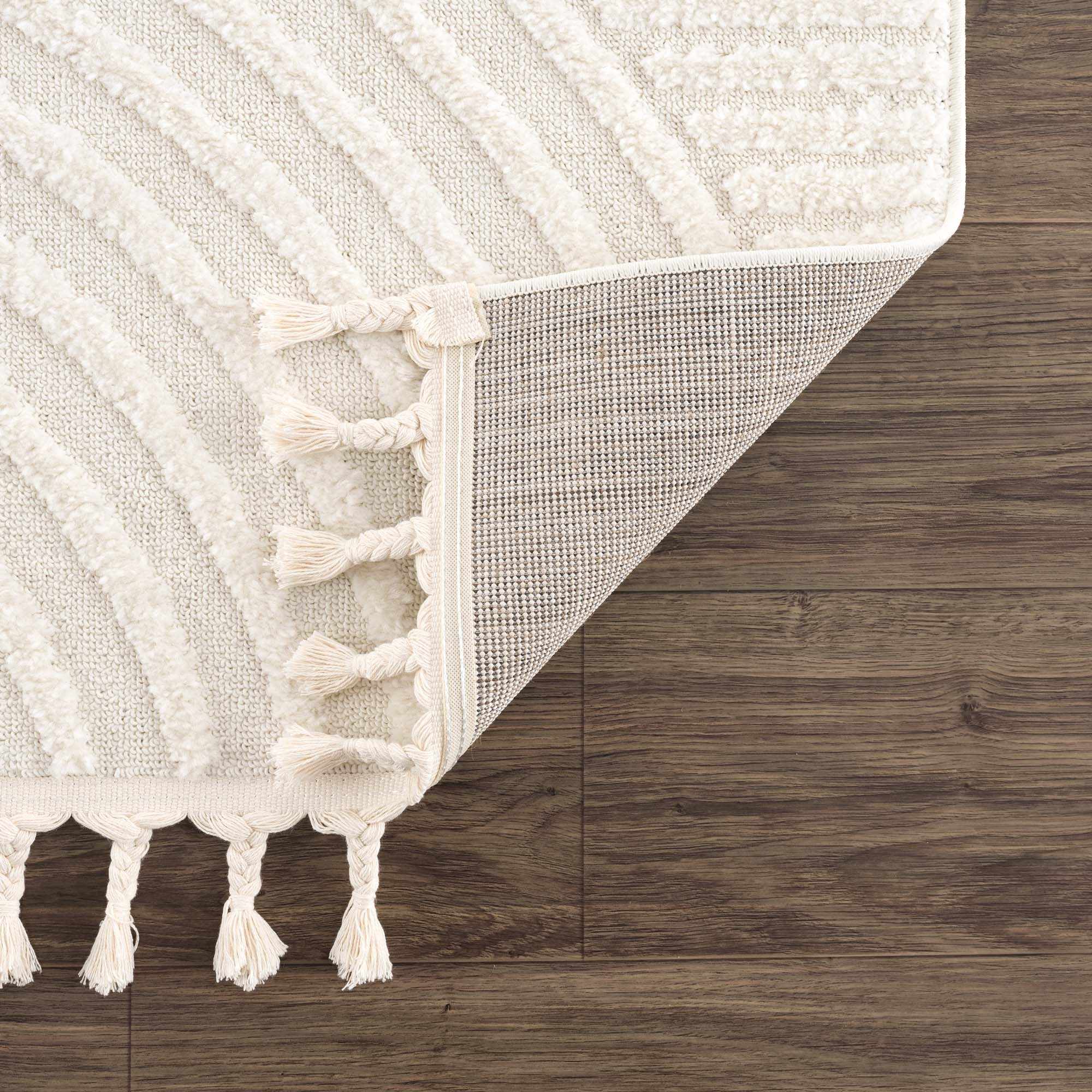 Guiling 3D Rainbow Area Rug with Tassels by Boutique Rugs