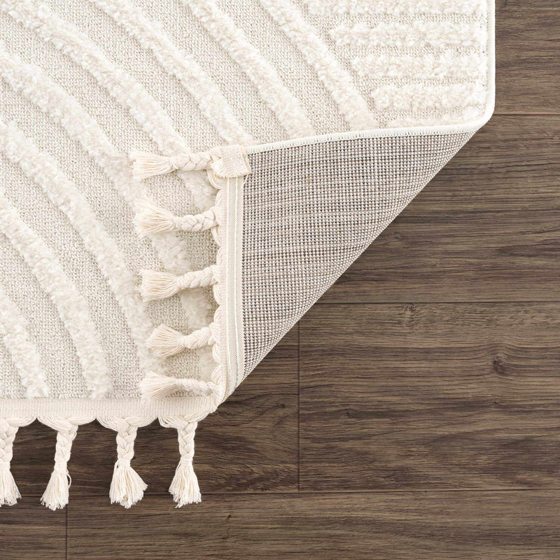 Guiling 3D Rainbow Area Rug with Tassels by Boutique Rugs