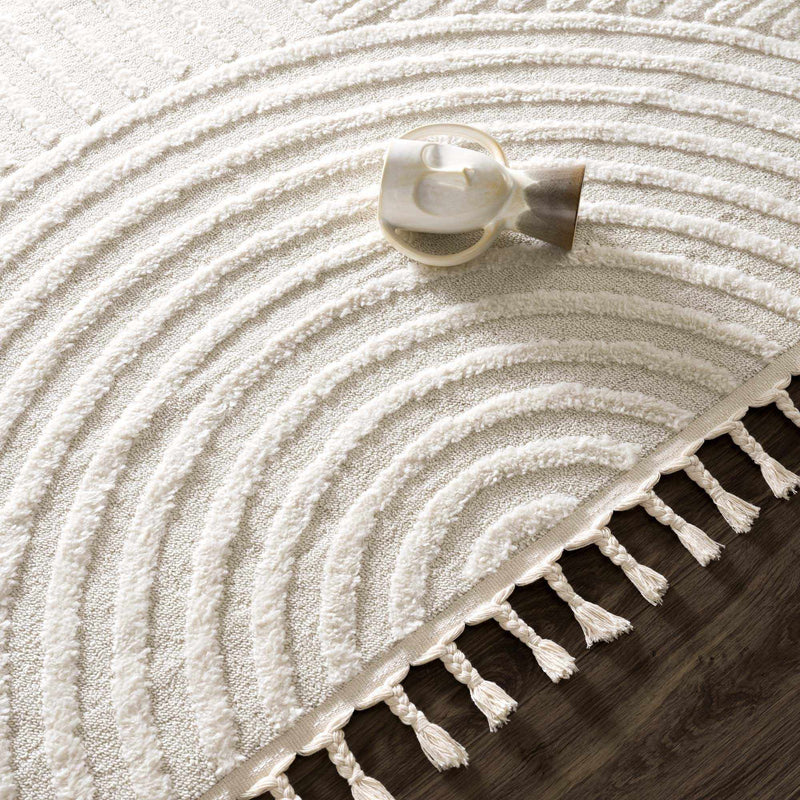 Guiling 3D Rainbow Area Rug with Tassels by Boutique Rugs