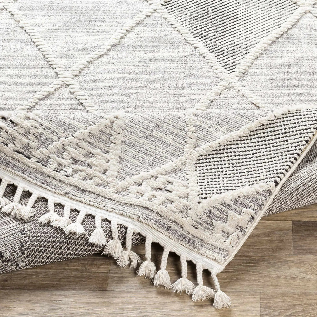 Norvelt High/Low Pile Rug with Tassels, photo 9 of 12