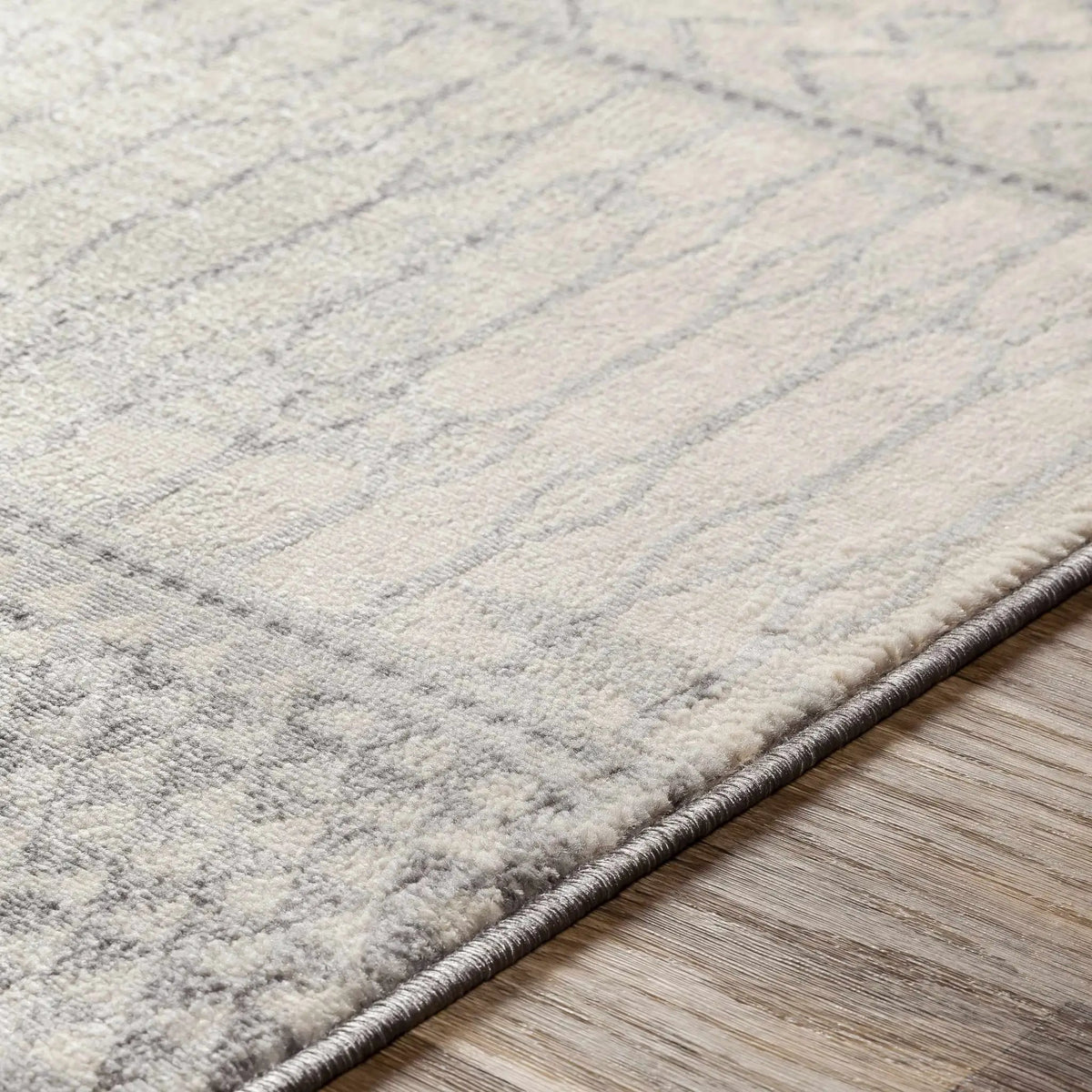 Nunda Gray Rug, photo 5 of 17