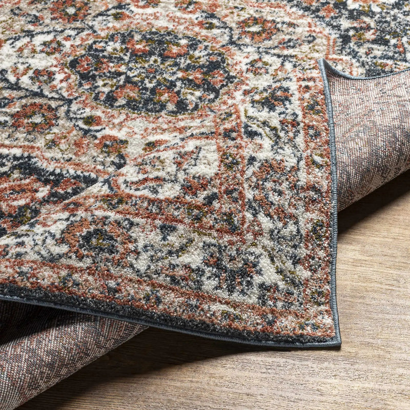Okiot Traditional Area Rug - Clearance by Boutique Rugs