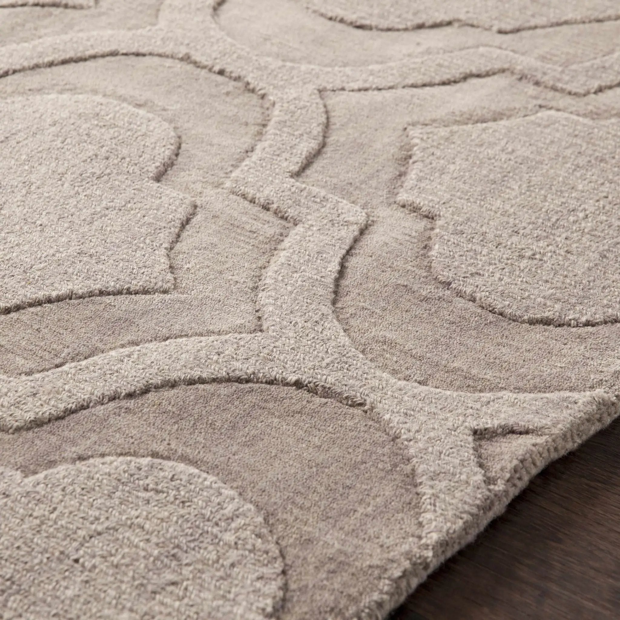 Oley Area Rug - Clearance by Boutique Rugs