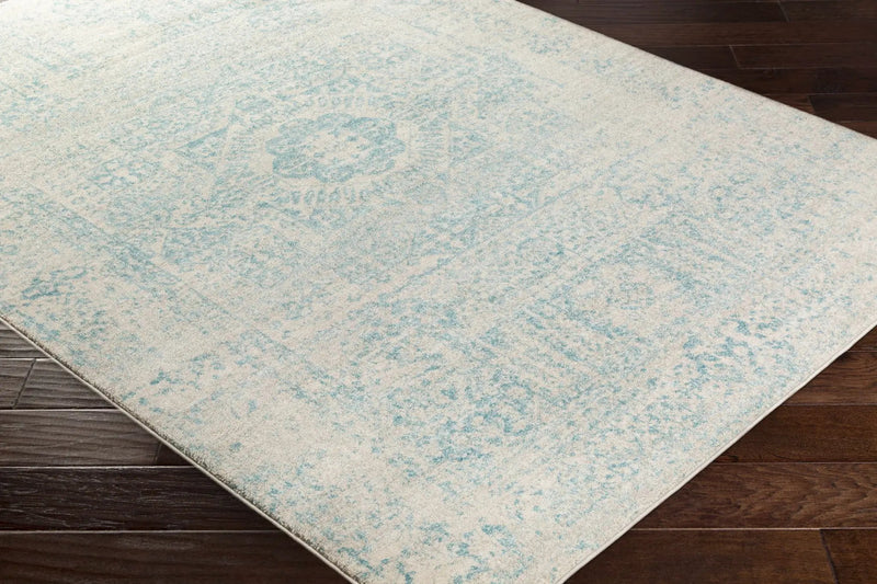 Omega Area Rug - Clearance by Boutique Rugs