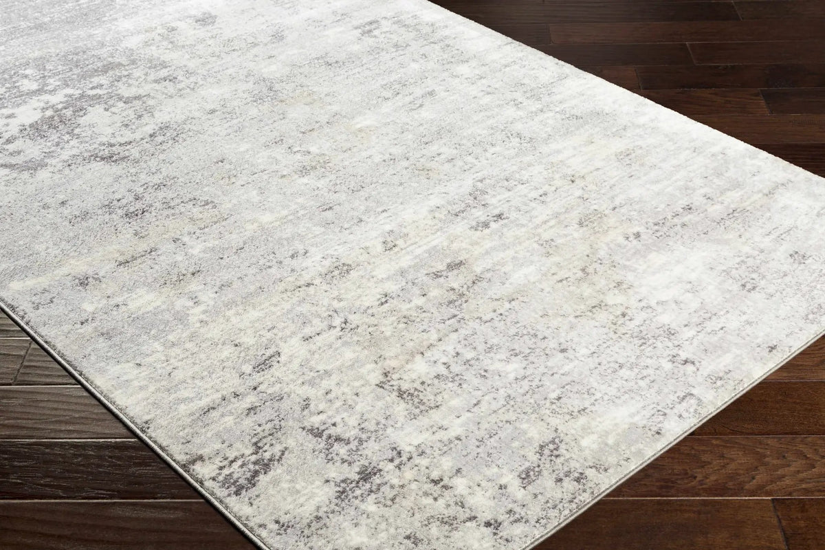 Ortonville Abstract Gray Rug, photo 11 of 14