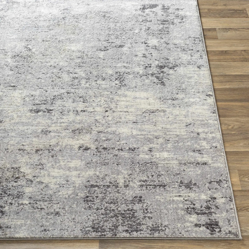 Ortonville Abstract Gray Rug by Boutique Rugs