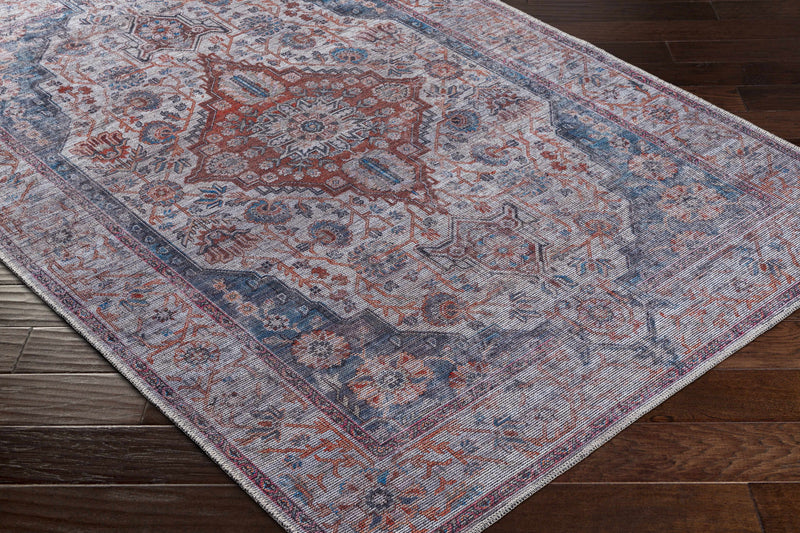 Osmaneli Washable Area Rug - Clearance by Boutique Rugs