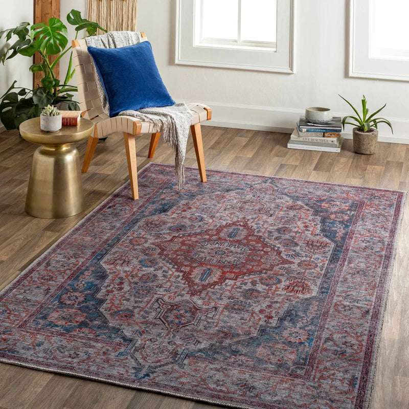 Osmaneli Washable Area Rug - Clearance by Boutique Rugs