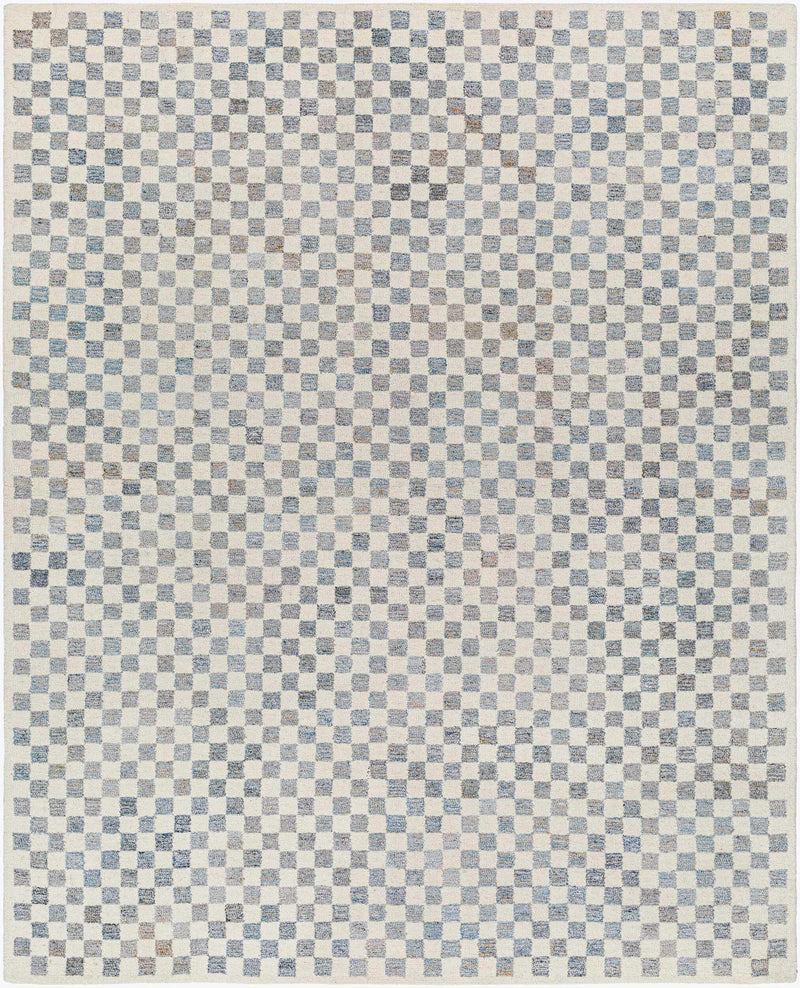 Halen Gray Checkered Area Rug by Boutique Rugs