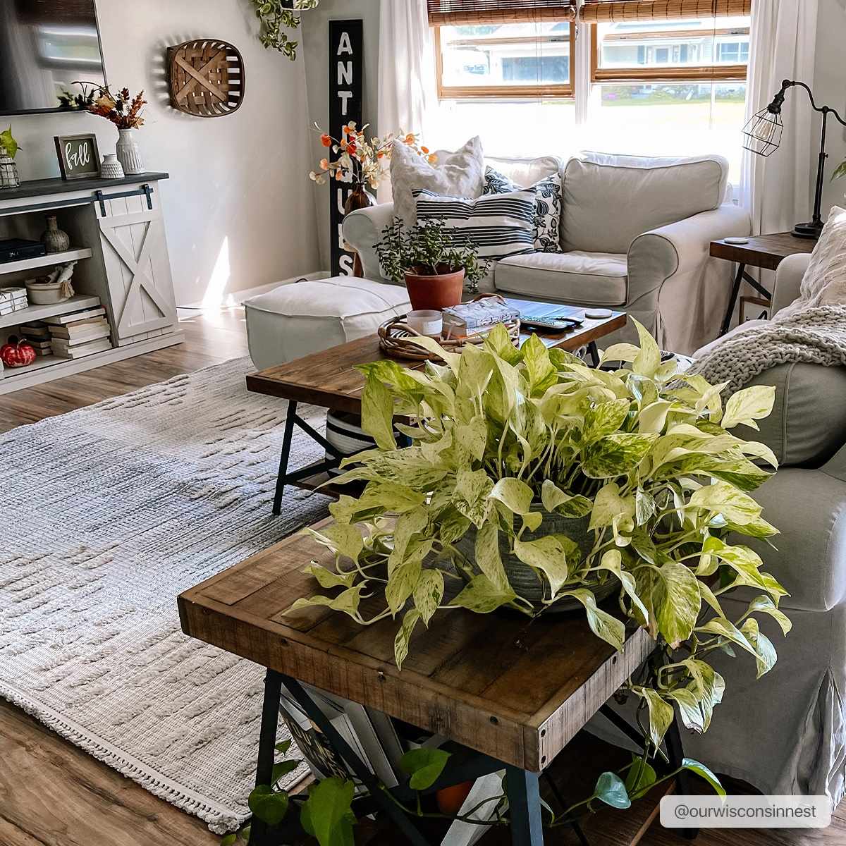Poydras High-Low Rustic Rug, photo 4 of 19
