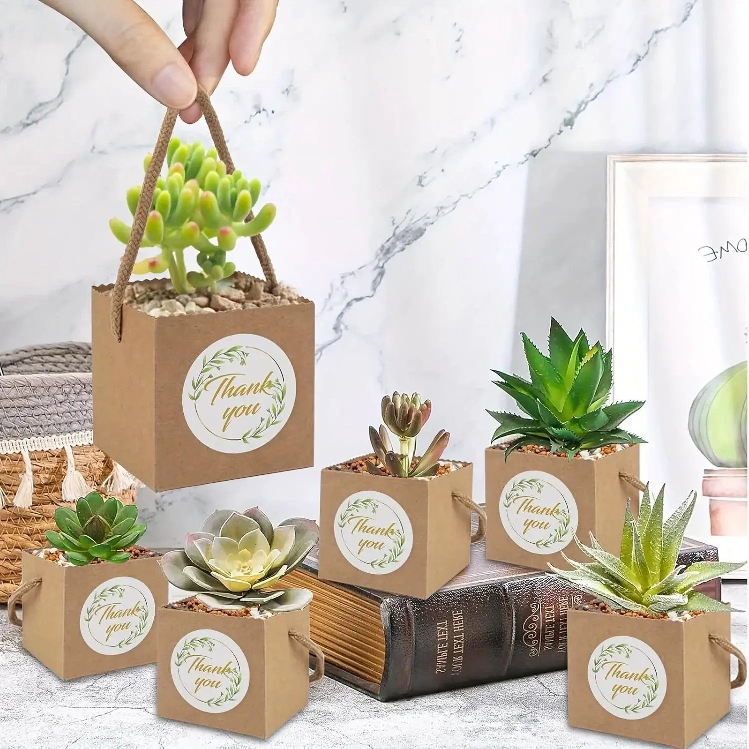 Paper Kraft Planter Bags for Plants and Gifts by House Of Avana