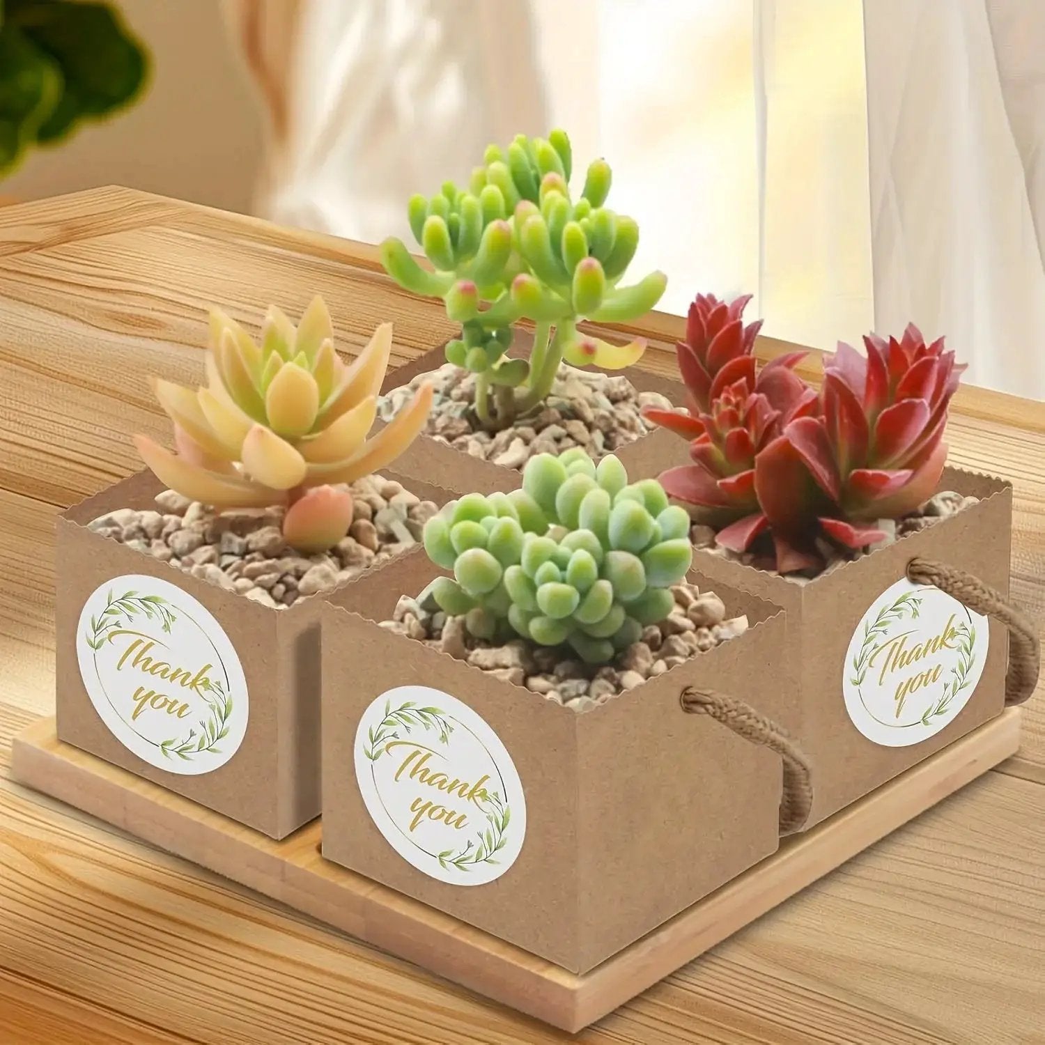 Paper Kraft Planter Bags for Plants and Gifts by House Of Avana