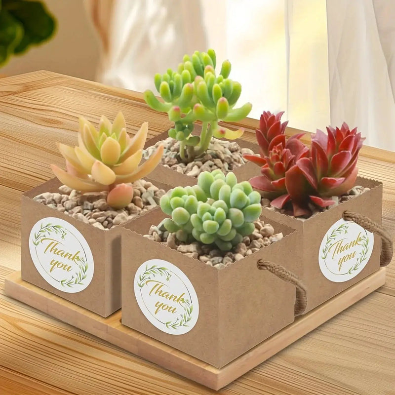 Paper Kraft Planter Bags for Plants and Gifts by House Of Avana