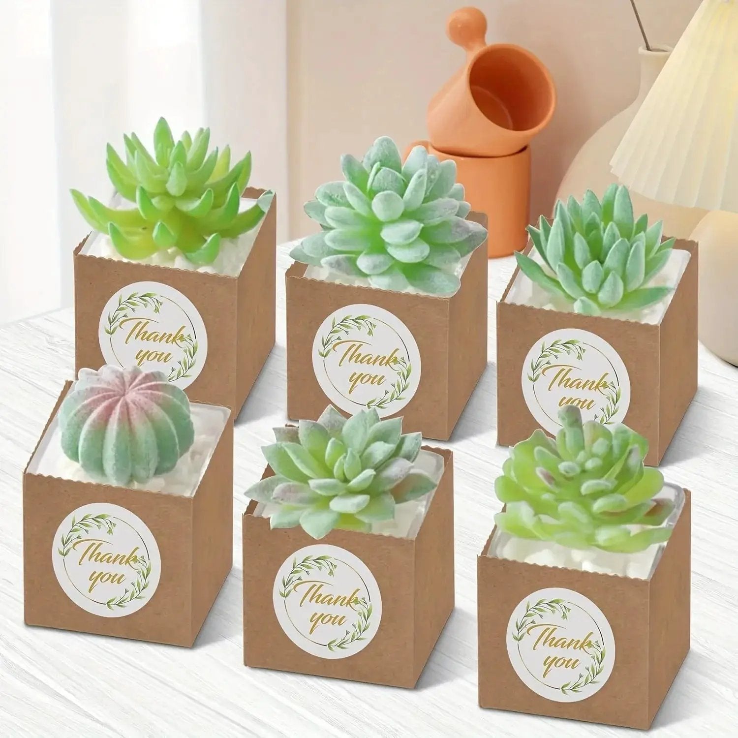 Paper Kraft Planter Bags for Plants and Gifts by House Of Avana