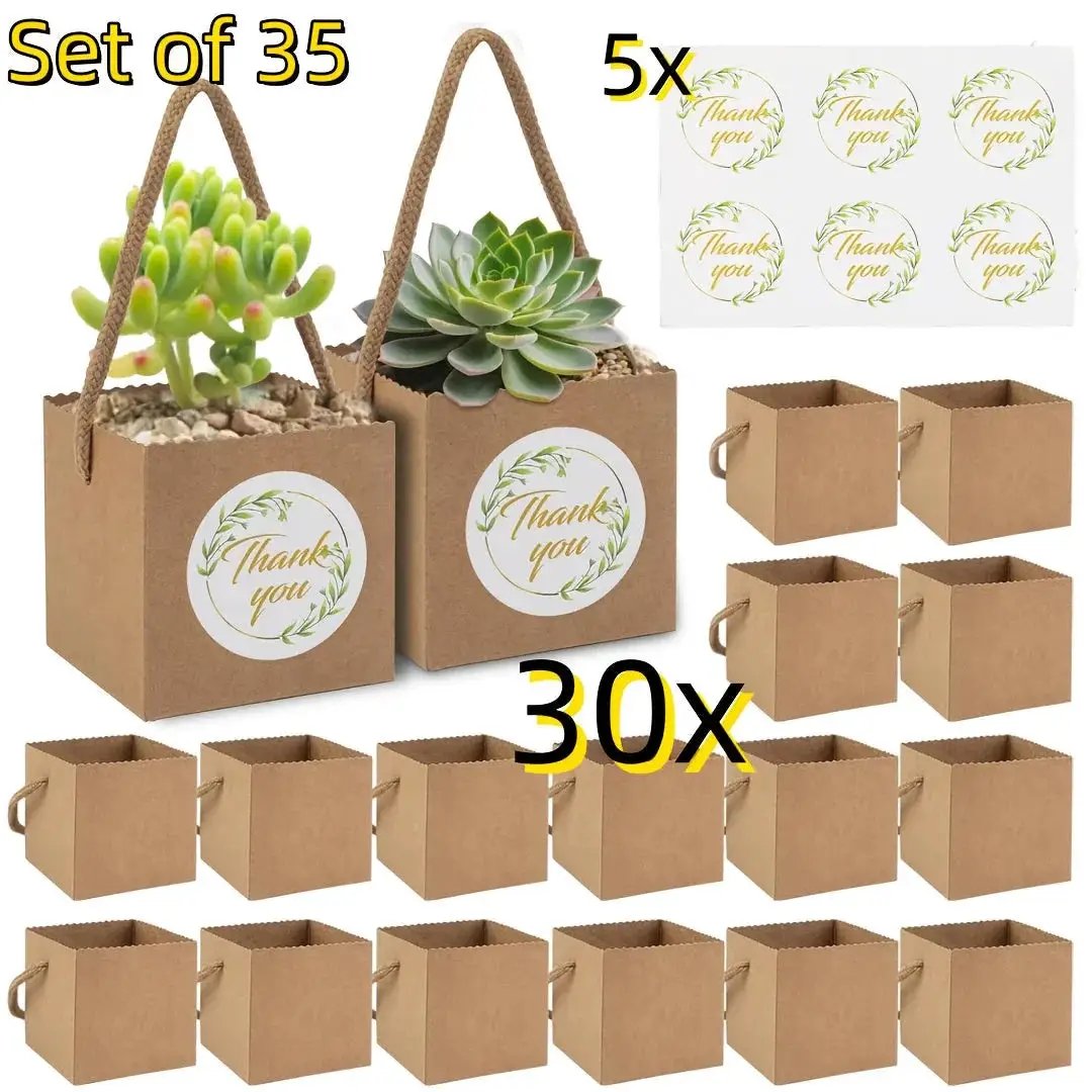 Paper Kraft Planter Bags for Plants and Gifts by House Of Avana