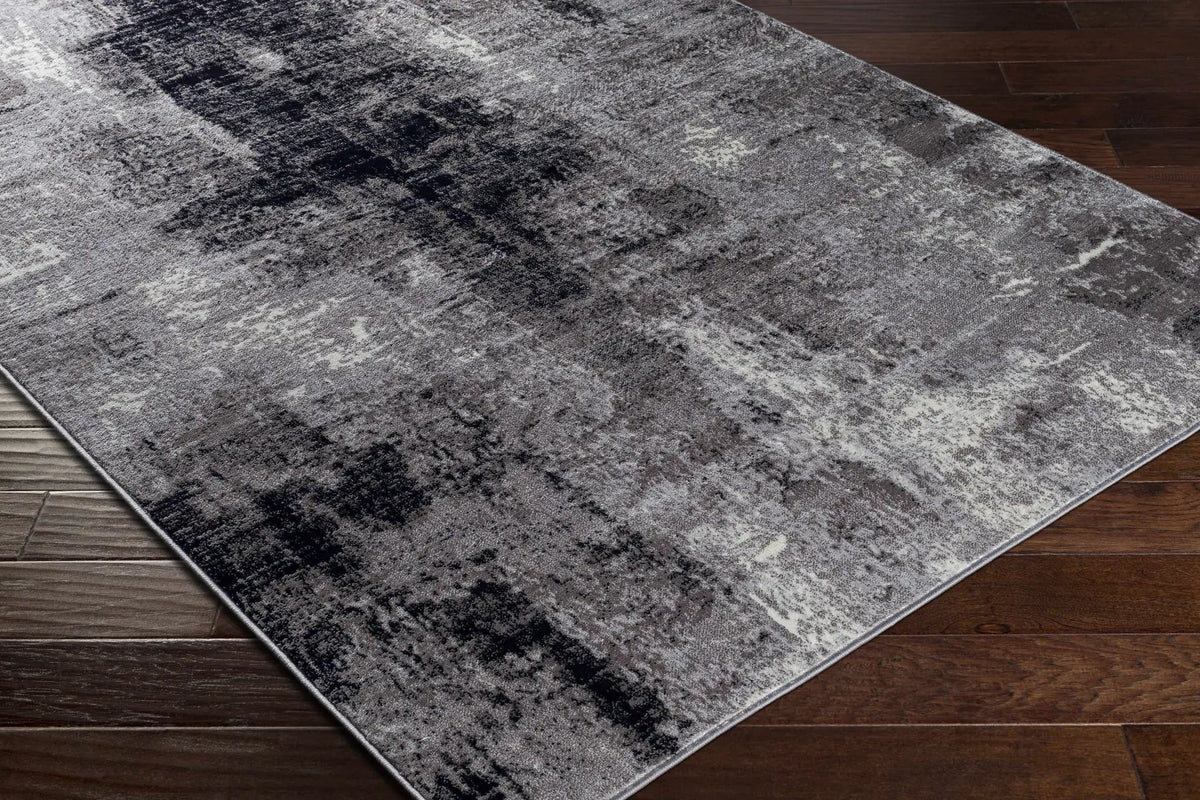 Passi Area Rug - Clearance, photo 6 of 7