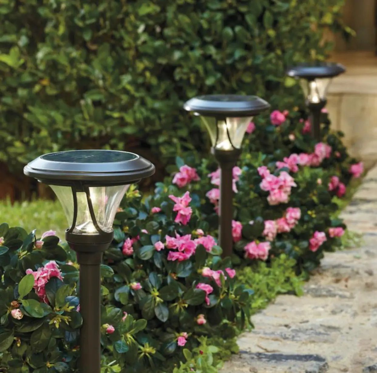 Patriot Oswego Solar Pathway Lights 6 Lumen 8-Pack by Outdoor Solar Outlet