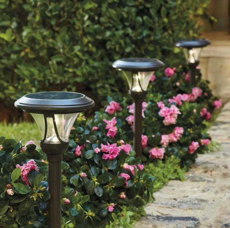 Patriot Oswego Solar Pathway Lights 6 Lumen 8-Pack by Outdoor Solar Outlet