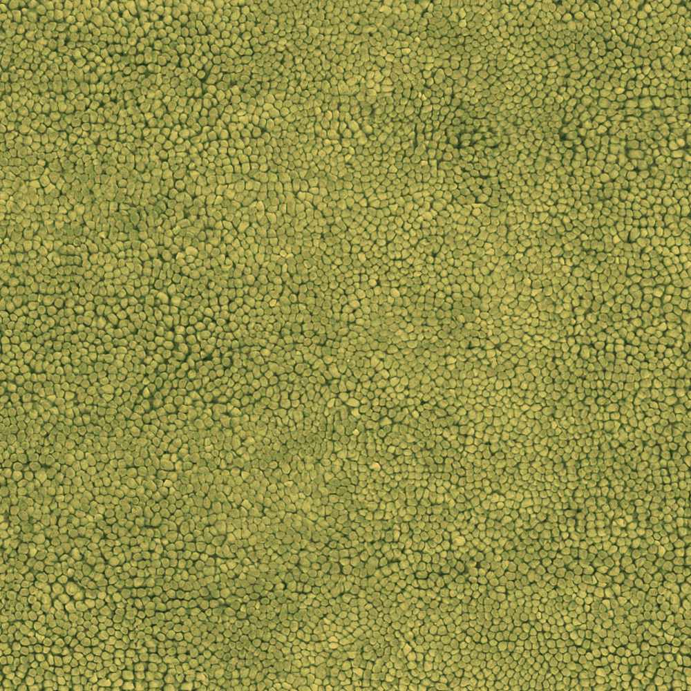 Frederika Solid Olive Green Wool Shag Rug - Clearance, sample swatch