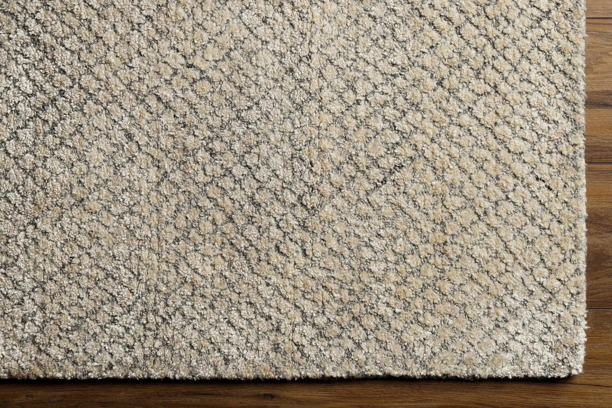 Phalaborwa Area Rug - Clearance, photo 10 of 11