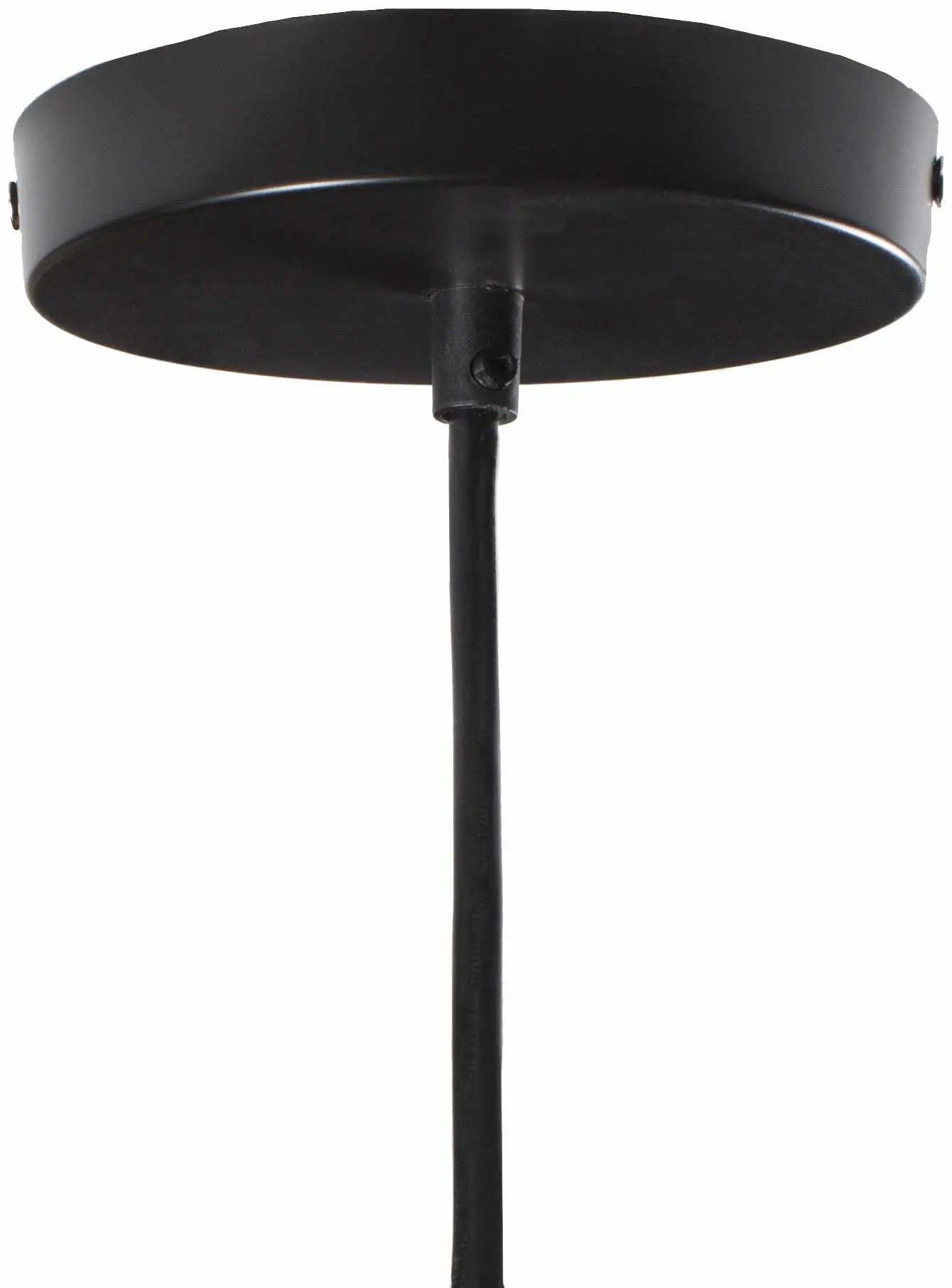 Phlox Ceiling Light - Clearance by Boutique Rugs