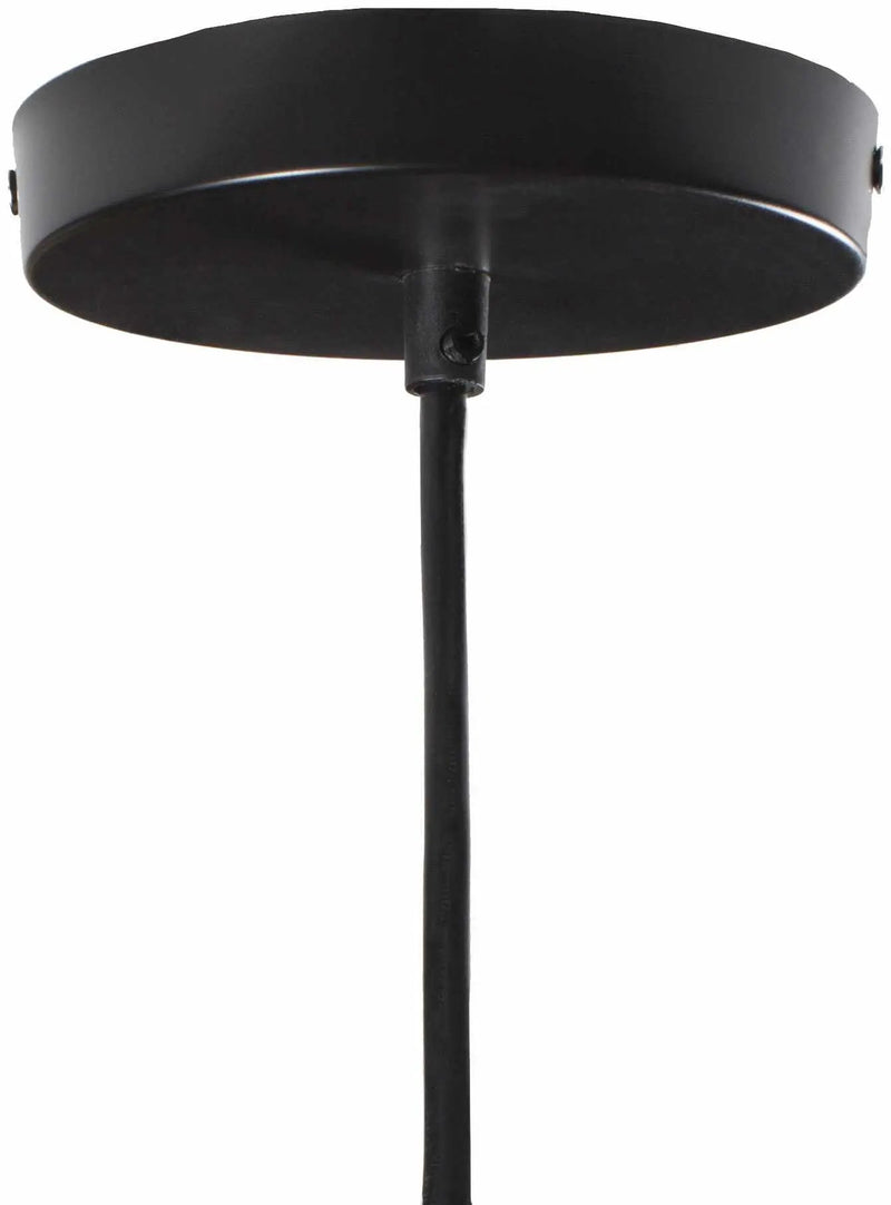 Phlox Ceiling Light - Clearance by Boutique Rugs