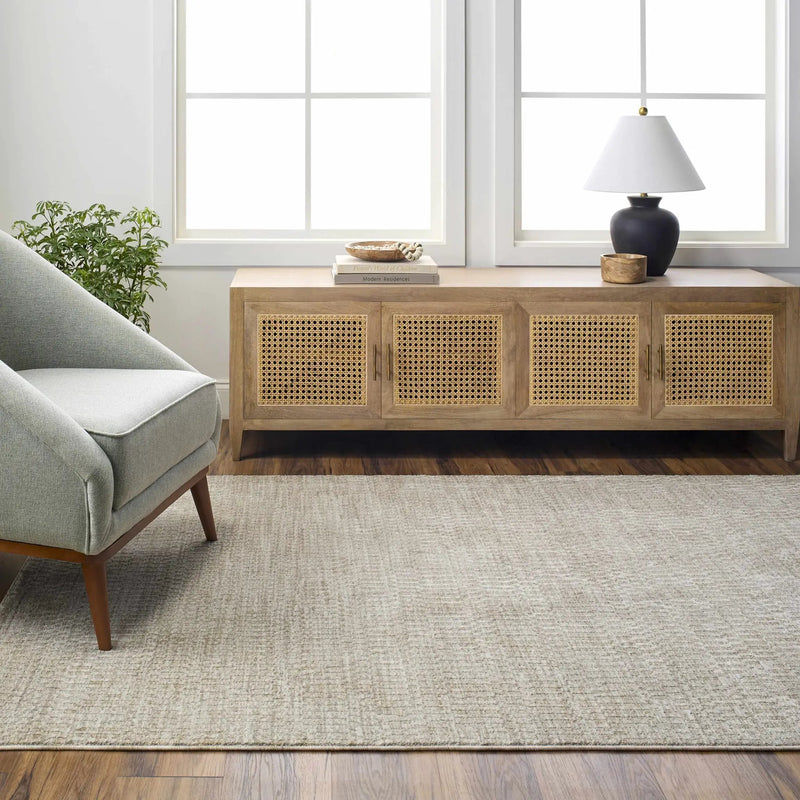 Pabla Light Gray Area Rug by Boutique Rugs