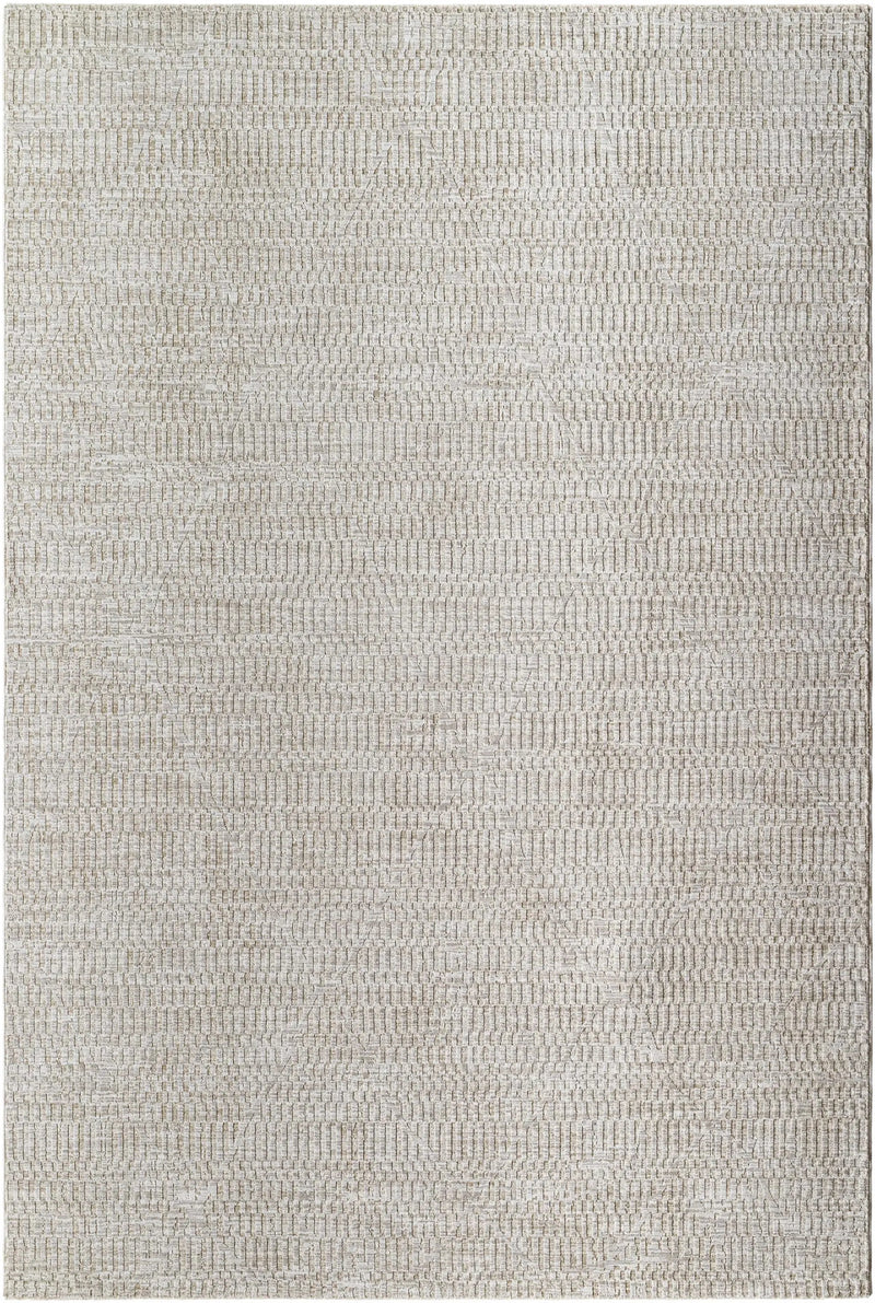Pabla Light Gray Area Rug by Boutique Rugs