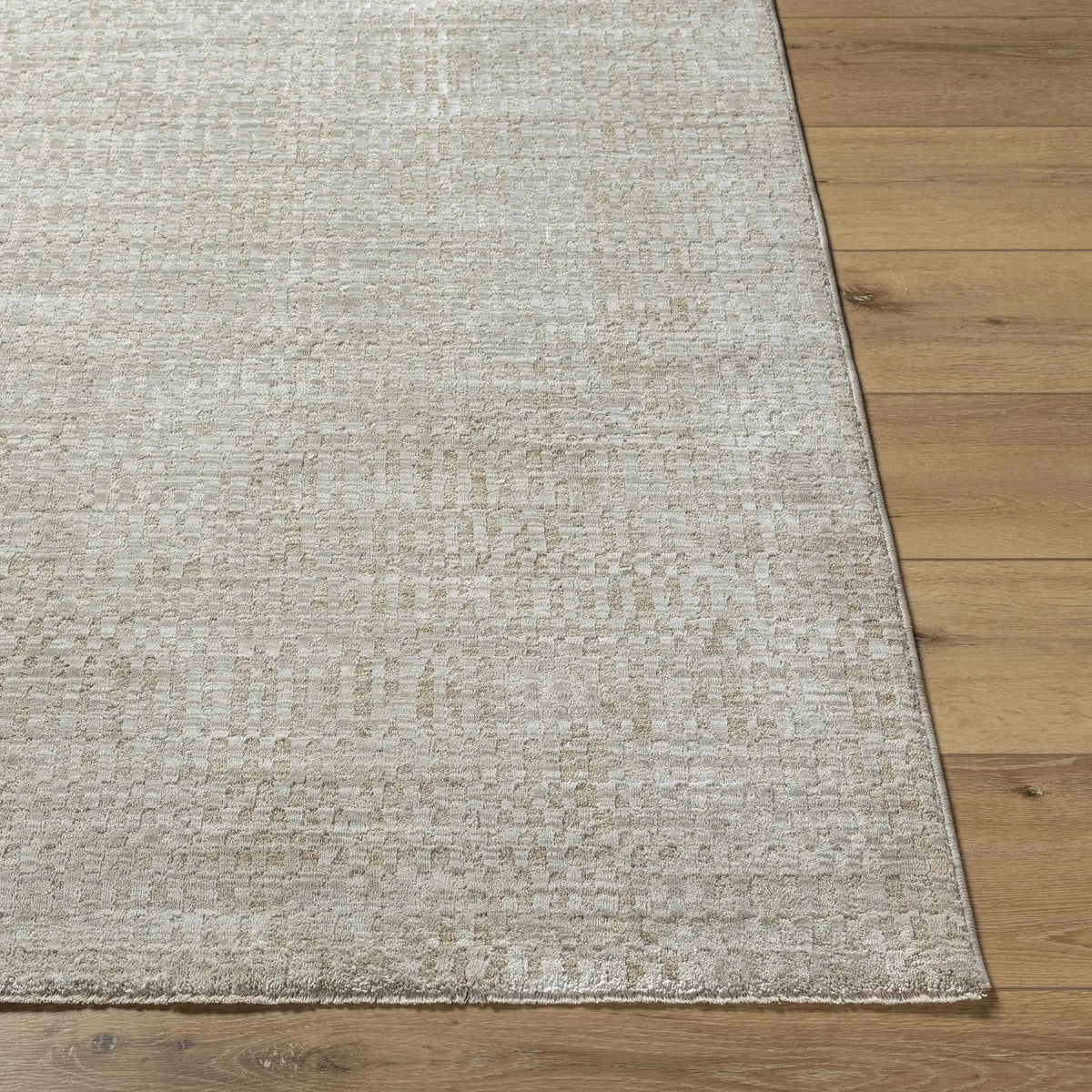 Pabla Light Gray Area Rug, photo 3 of 11