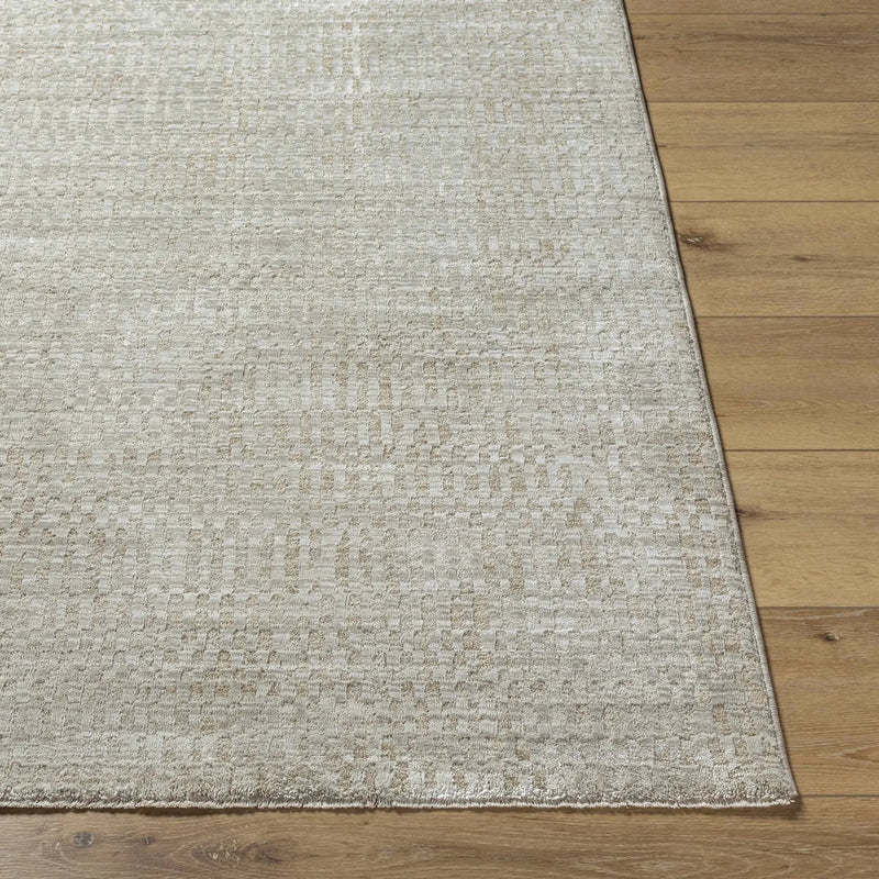 Pabla Light Gray Area Rug by Boutique Rugs