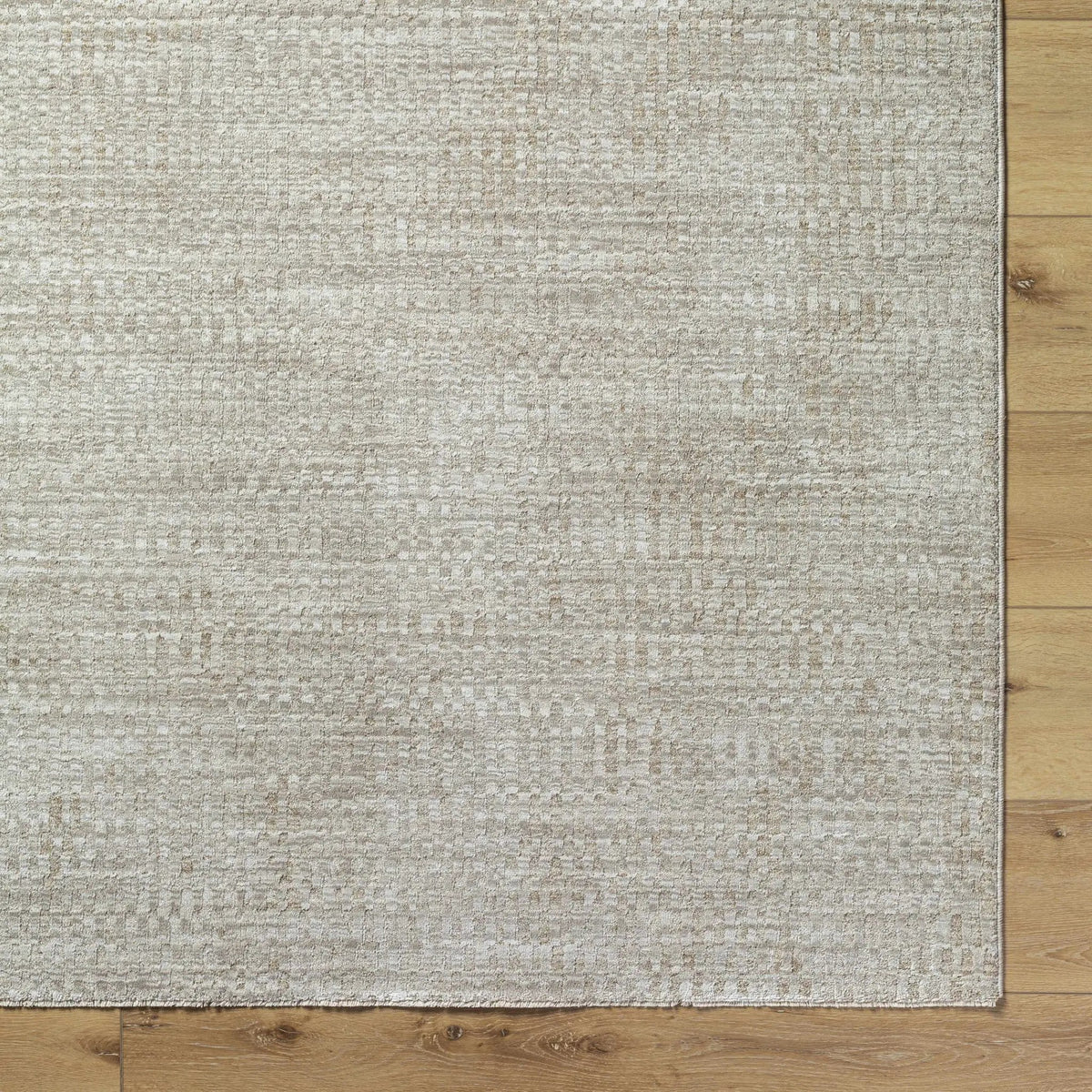 Pabla Light Gray Area Rug, photo 6 of 11