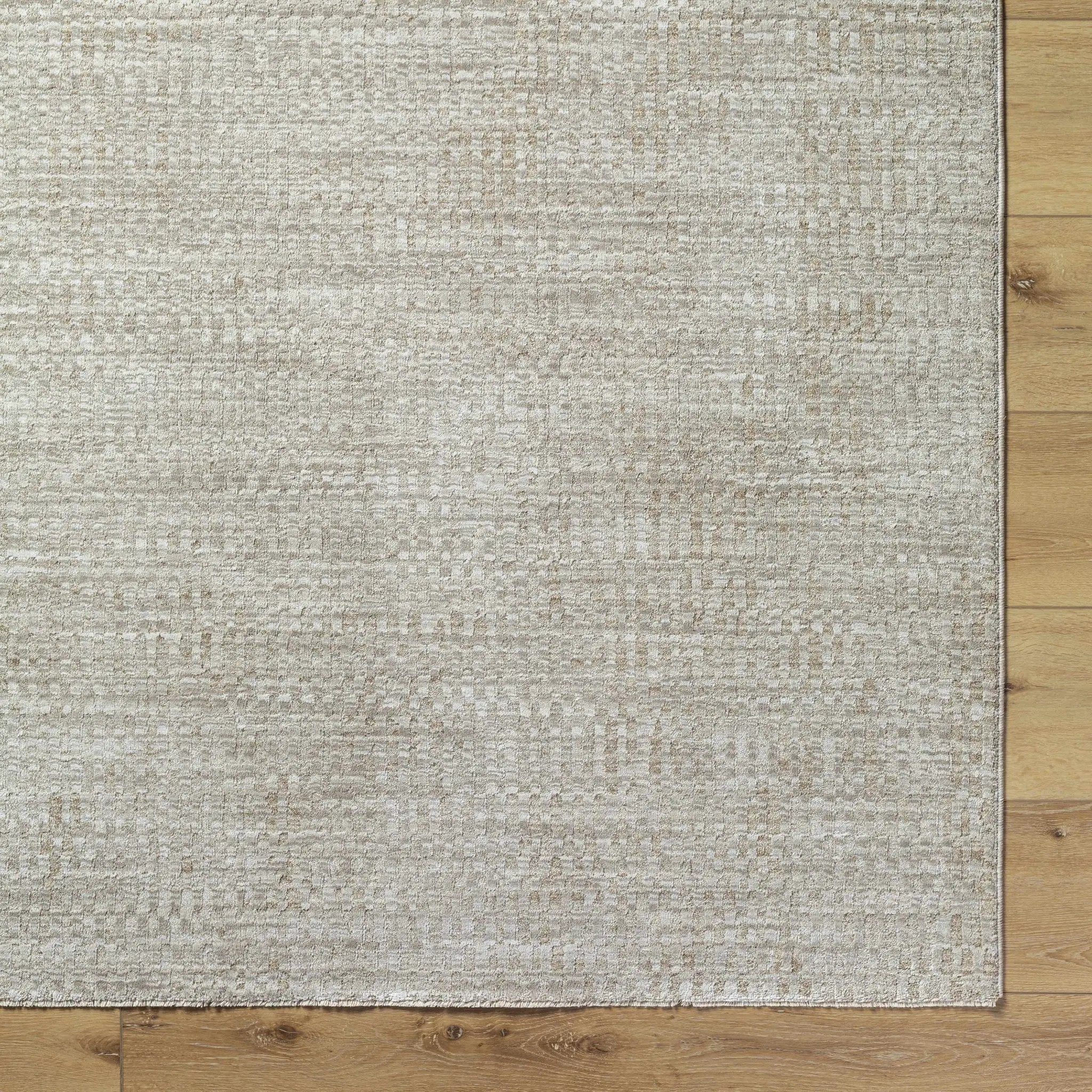 Pabla Light Gray Area Rug by Boutique Rugs