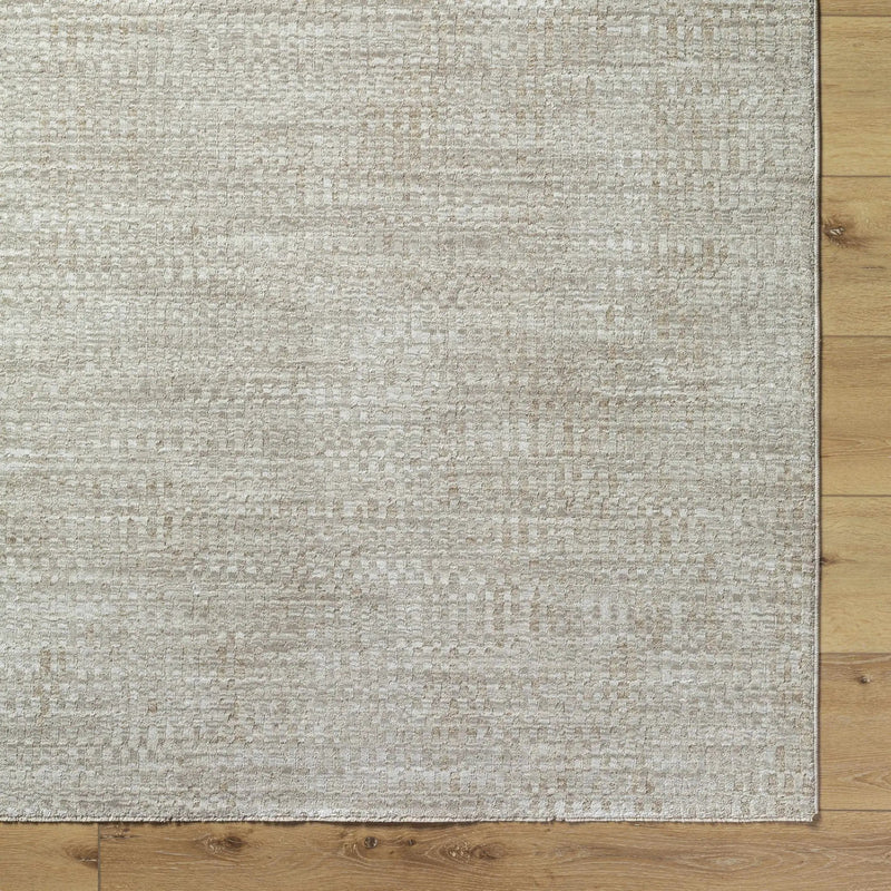 Pabla Light Gray Area Rug by Boutique Rugs