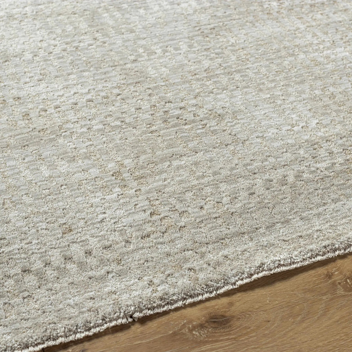 Pabla Light Gray Area Rug, photo 5 of 11