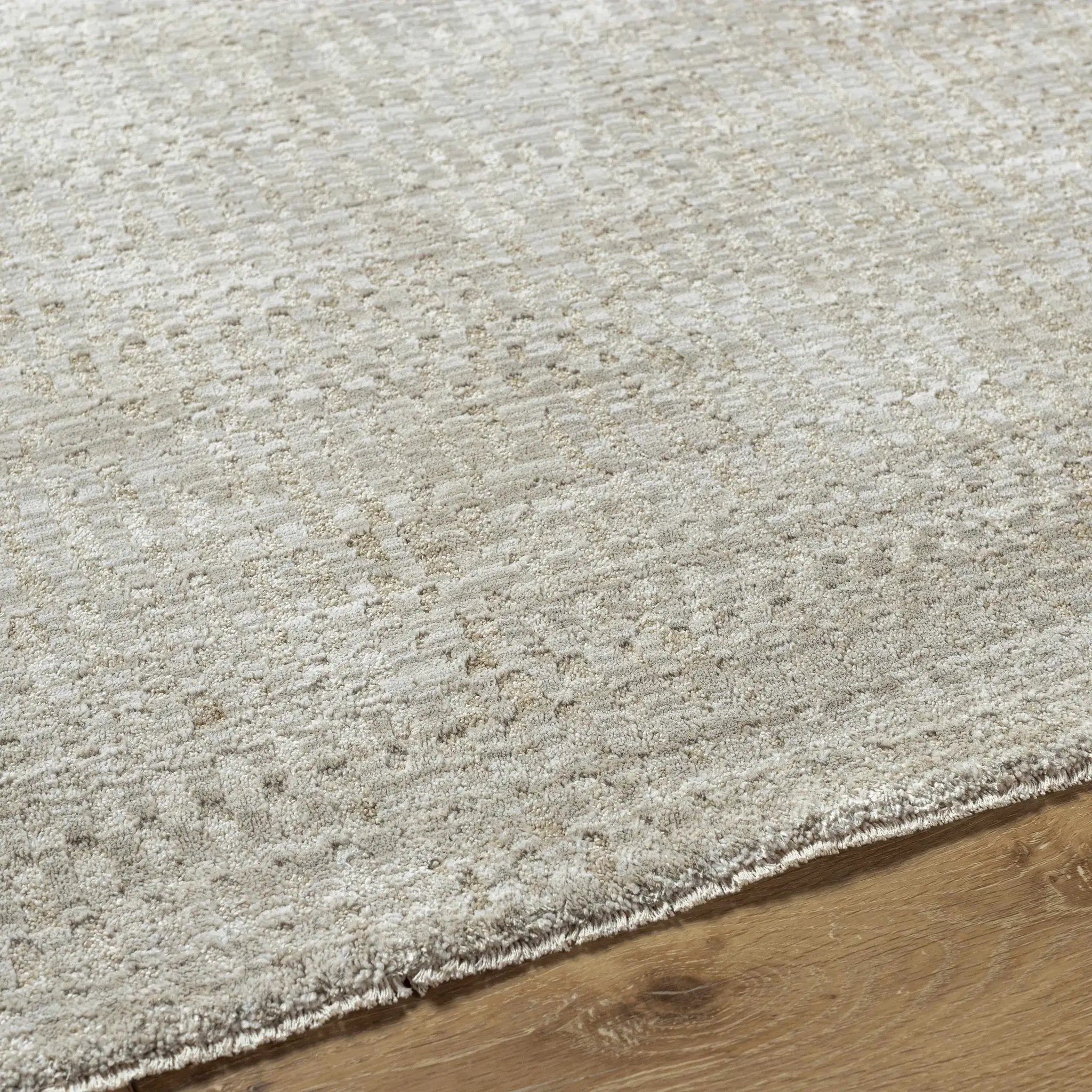 Pabla Light Gray Area Rug by Boutique Rugs