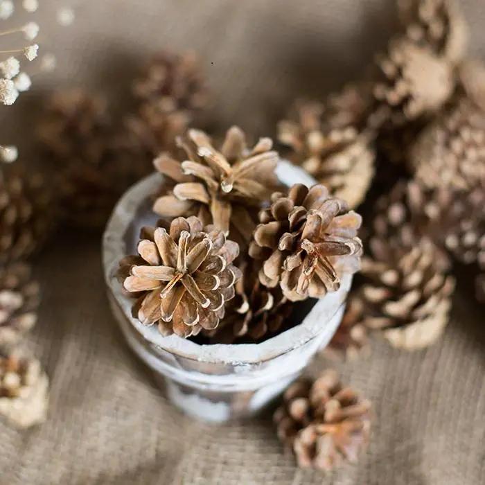 Pine Cone Decoration by RusticReach