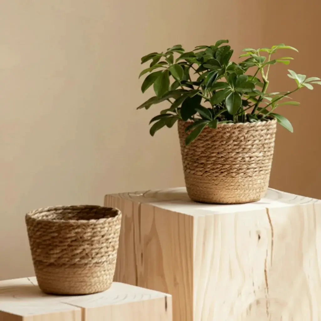 Planter - Woven Seaweed Large by House Of Avana