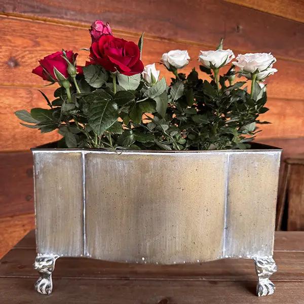 Aged Metal Footed Planters, Set of Two by Decor Steals